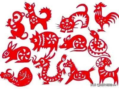 香港经典最新片,电影之都璀璨瑰宝探索之旅