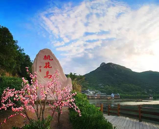 沈蔓歌的自然探索之旅，追寻美景与内心宁静