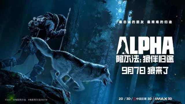 狼王电影最新，友情与陪伴的温馨之旅