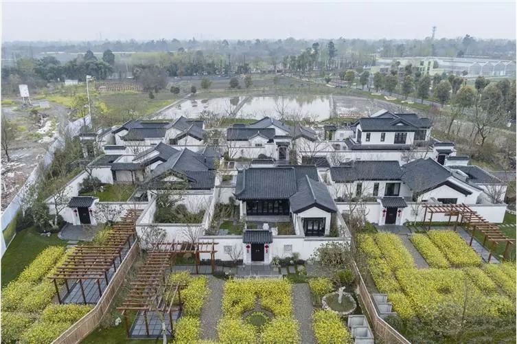 迁西最新限号措施及巷弄深处的独特风味探索