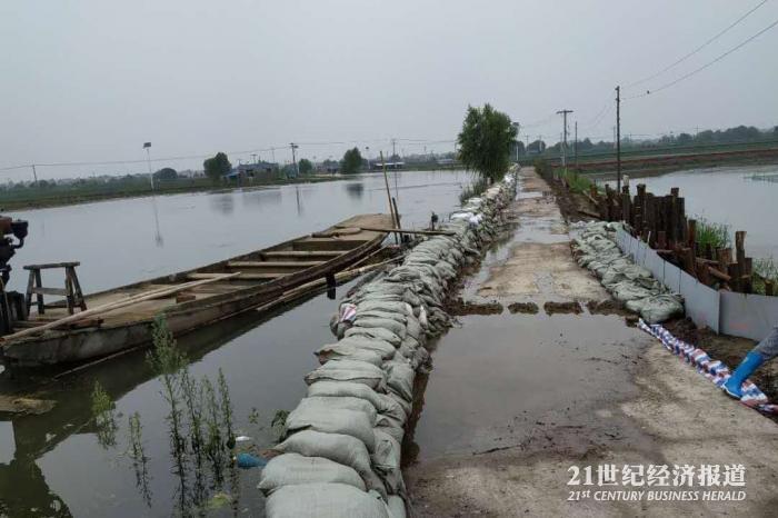 南京防汛最新响应，寻找内心平静的防汛之旅进展更新