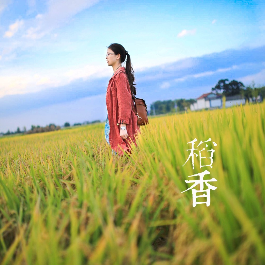 稻香最新版，超越传统还是忠实原作？