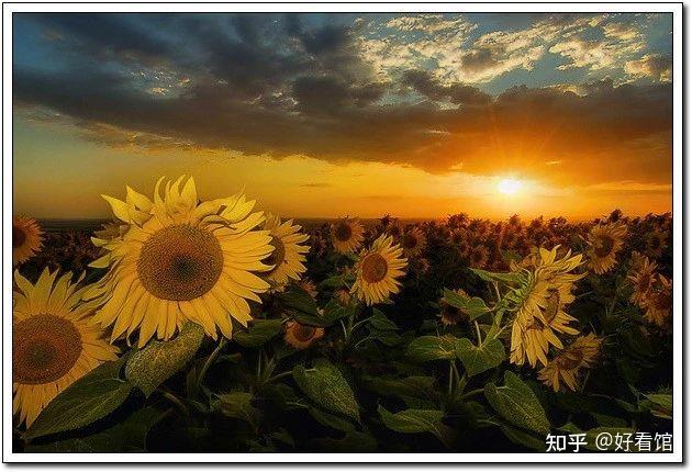 上海禾辉信息 第226页