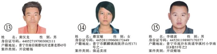 通缉犯最新揭秘，小巷深处的隐藏瑰宝