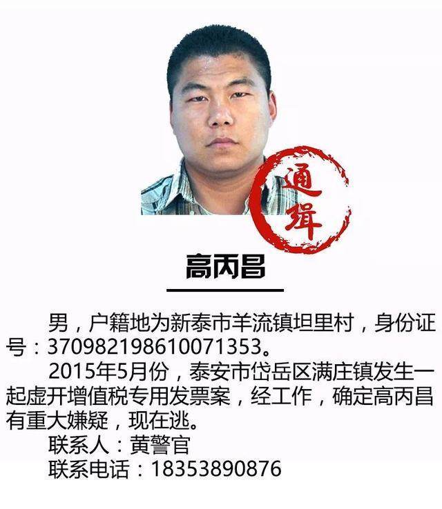 通缉犯最新揭秘,小巷深处的隐藏瑰宝