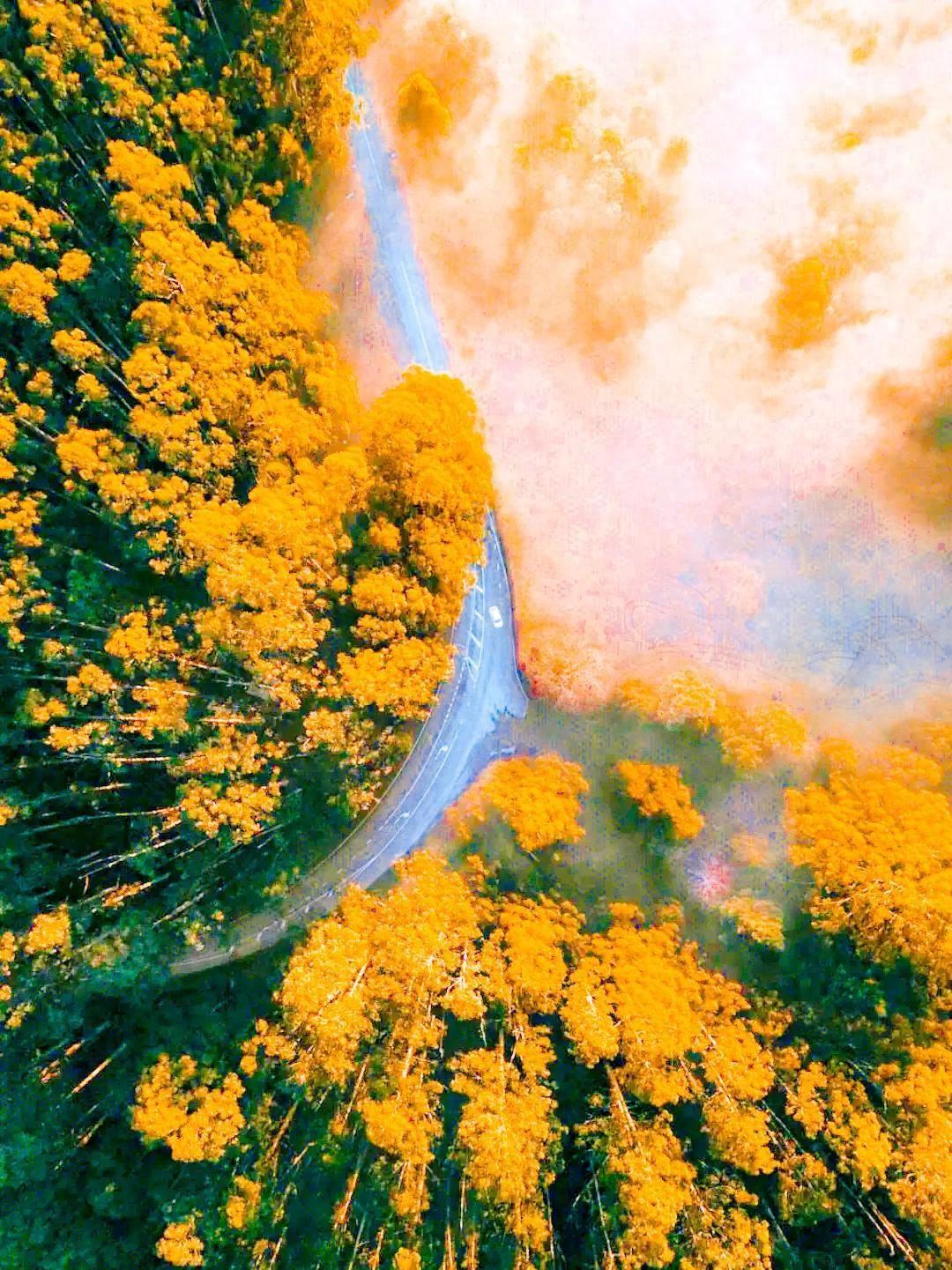 探索自然美景的旅行邀请,最新暂不复业活动开启