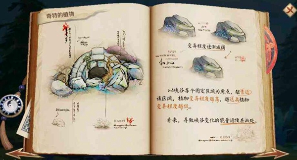 峡谷异闻最新答案揭秘,心灵平静之旅的探寻