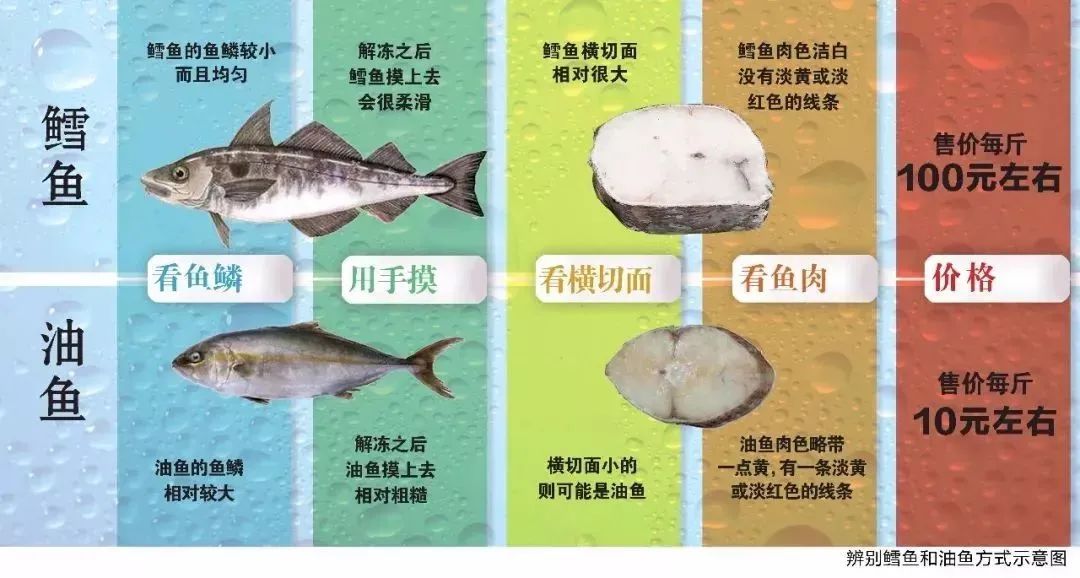 鳕鱼价格解析，一斤多少钱？