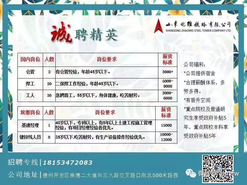 海石湾最新招聘信息大揭秘🚀🔍