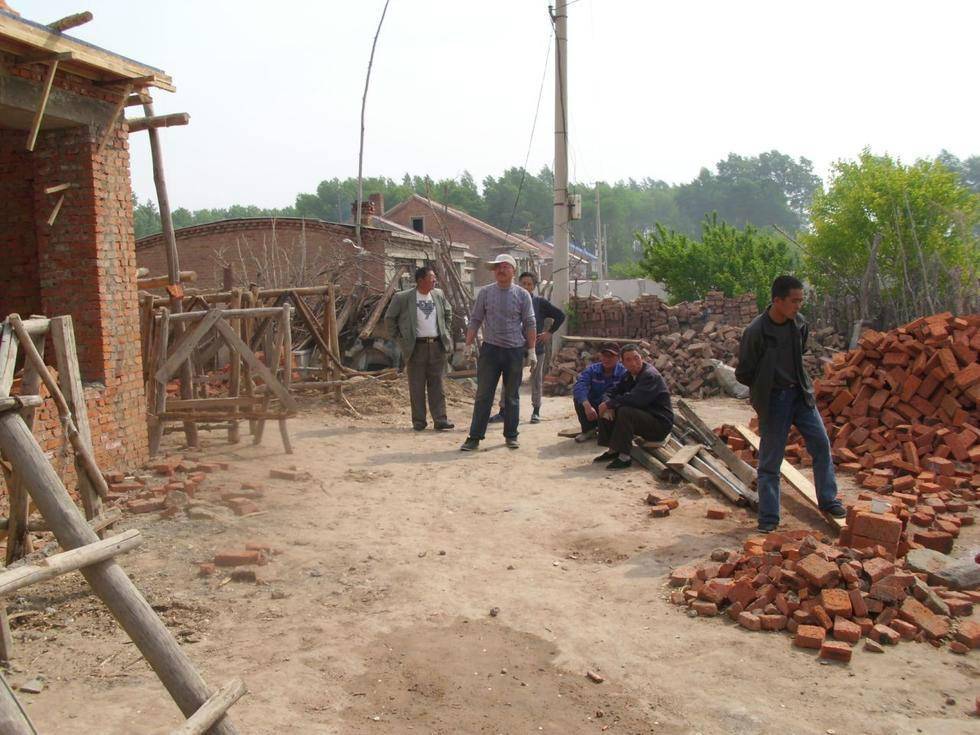 农业种植行情深度解析,趋势、机遇与挑战并存