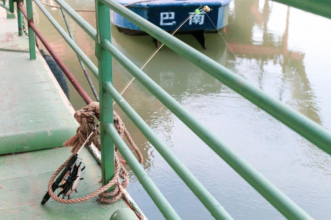 动漫草坪,奇幻世界的想象与色彩之旅