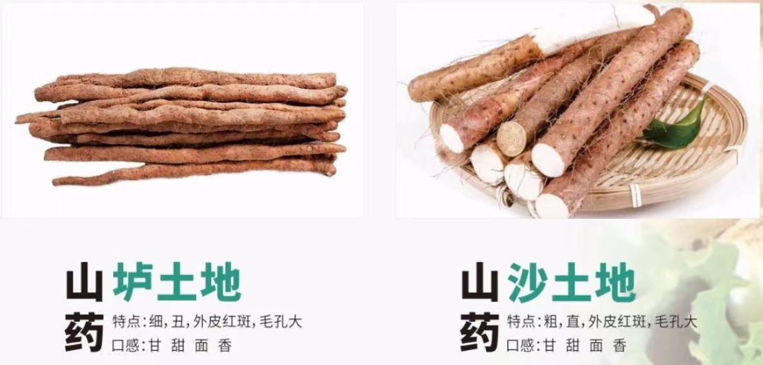 铁棍山药行情，机遇与挑战并存的成长之旅及自我励志之路