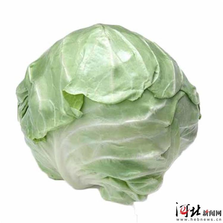 甘蓝最新价格行情