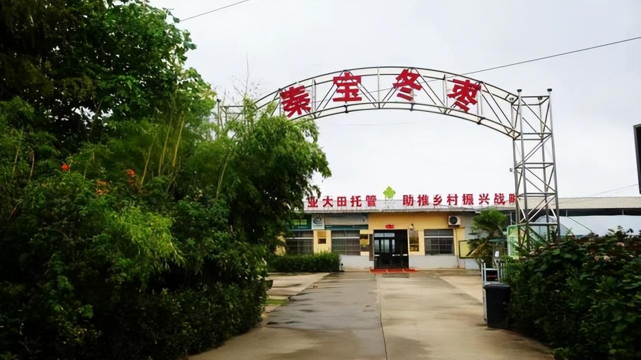 阎良工厂最新招聘信息，开启职业新篇章，欢迎加入学习与变化的怀抱