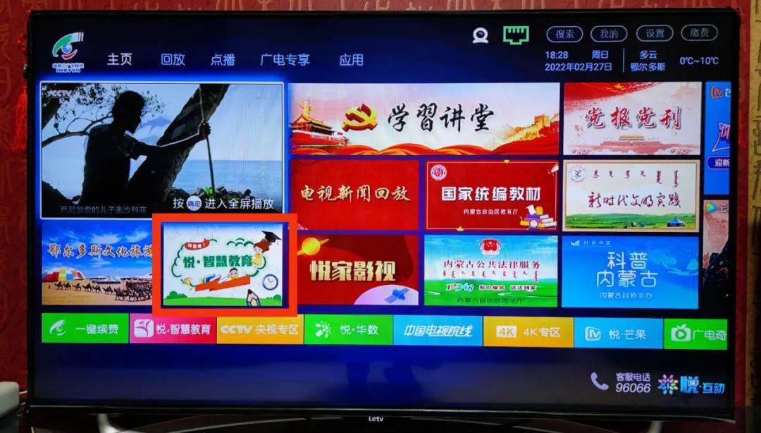 最新电视品牌大盘点，巷弄深处的视听盛宴揭秘