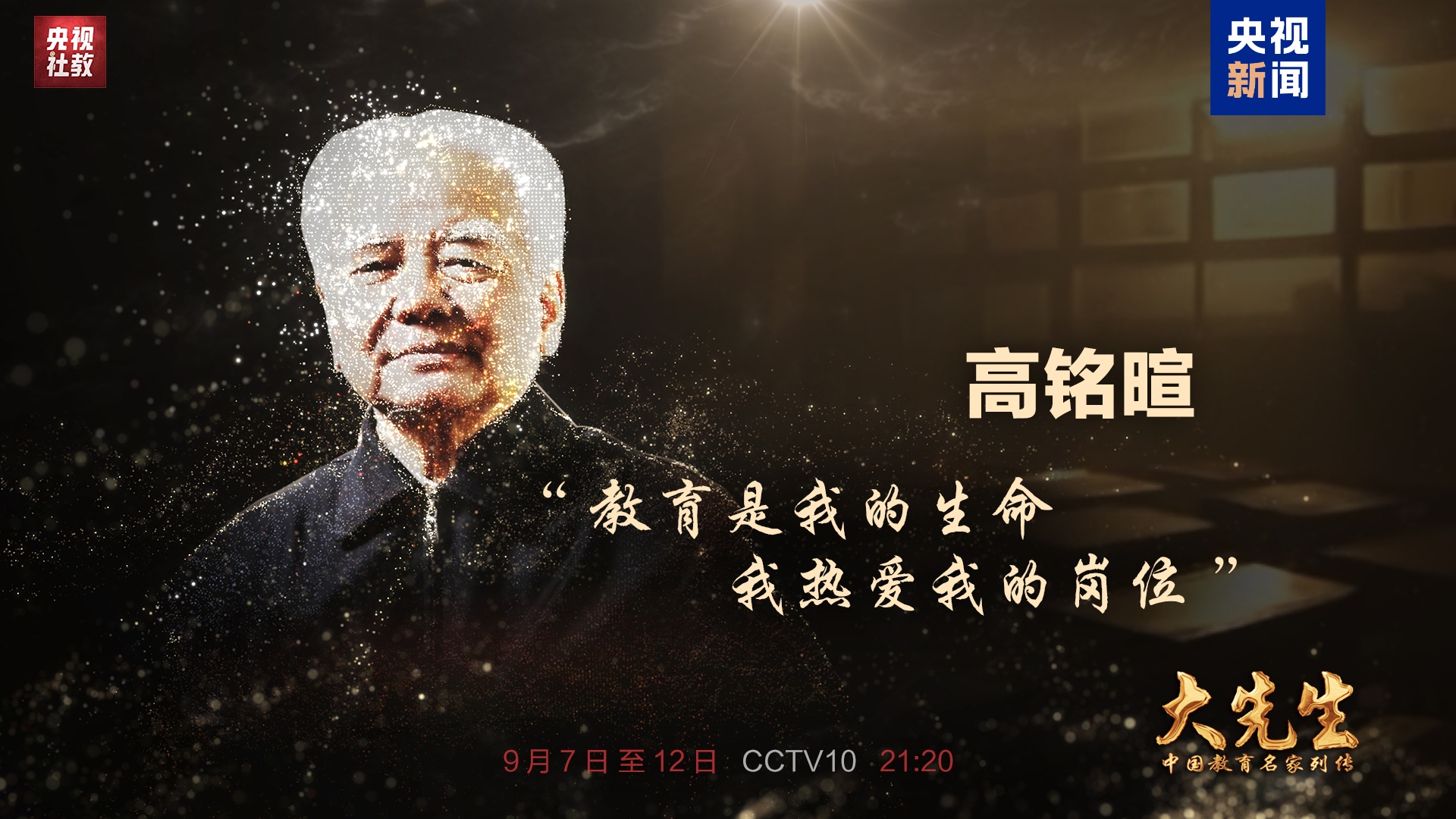 人物魅力与故事深度解析揭秘