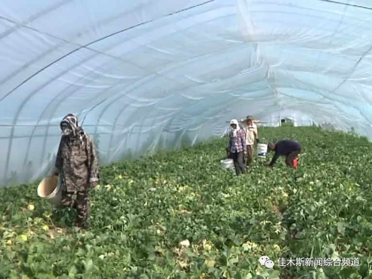 武穴最新资讯快报