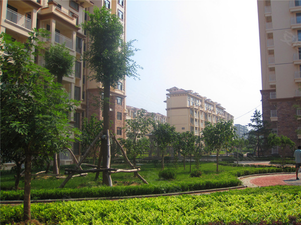 龙口碧海尚城最新住宅价格,科技前沿居所的居住新体验