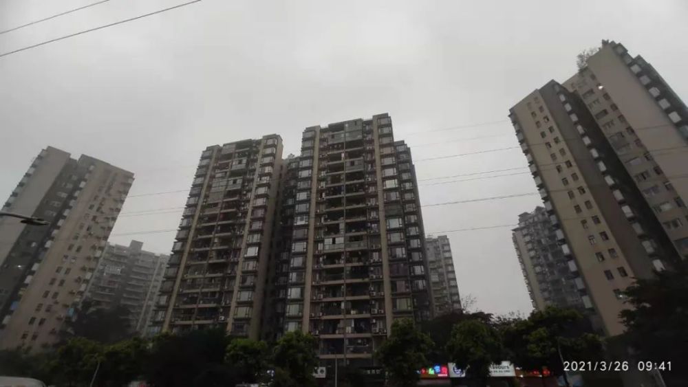 九龙半岛最新动态更新,最新消息汇总