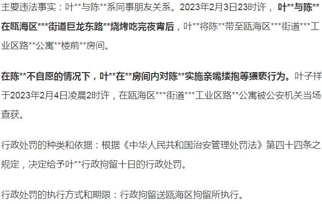 行政处罚法全文最新探索，小巷中的法律与风味