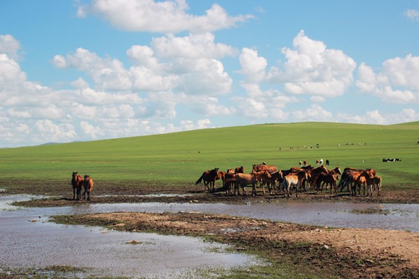 最新版CC,自然美景鼓舞之旅