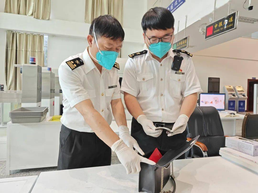 海关最新,海关最新趣事,友情与陪伴的温馨日常