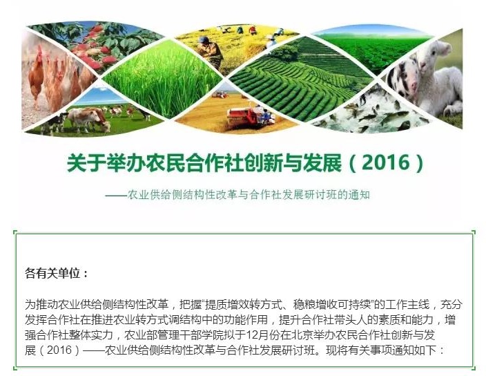 合作社最新政策