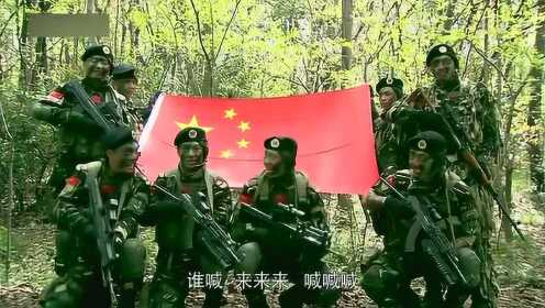 崛起与展示