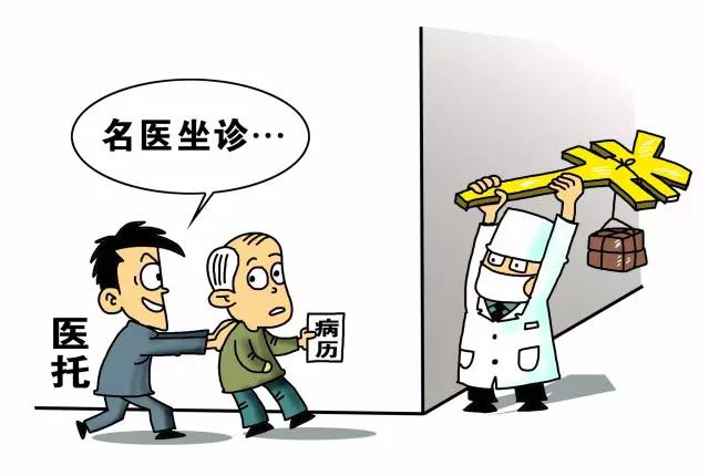 最新医托，心灵与自然的奇妙旅程