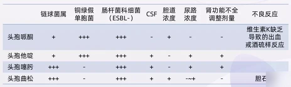 头孢最新一代