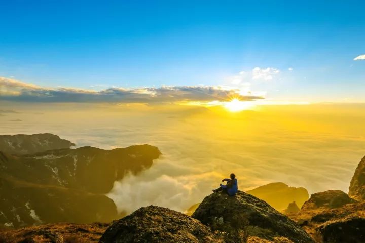 金8天国最新,自然美景的心灵之旅