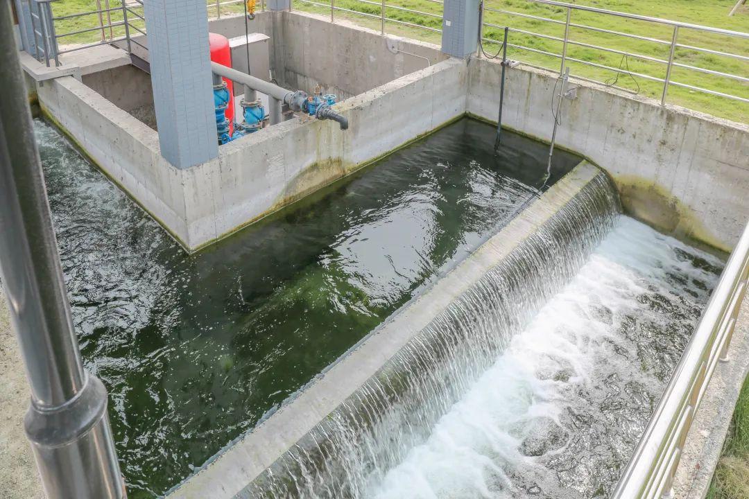 最新污水处理技术详解，步骤指南与操作手册