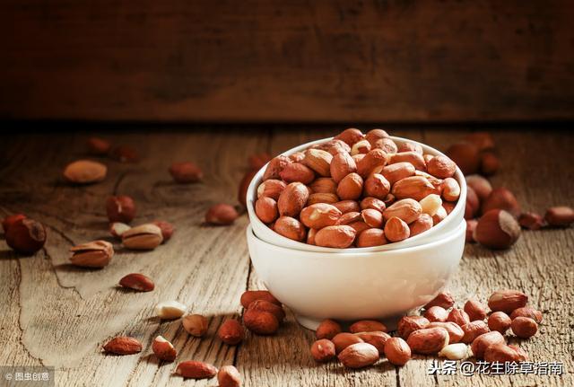 河南花生米最新价格指南,最新价格信息一览