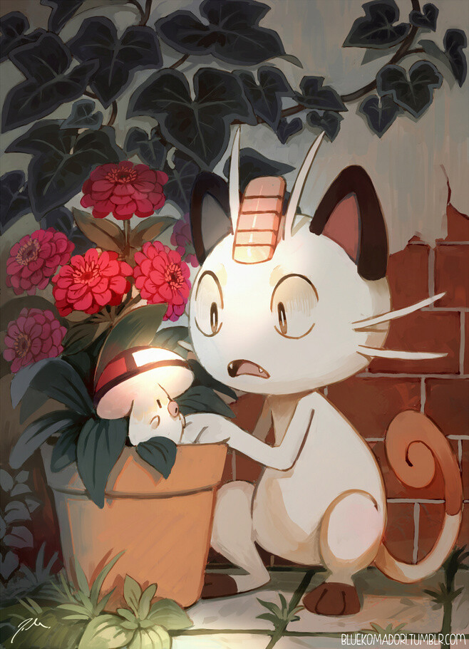 萌宠日常