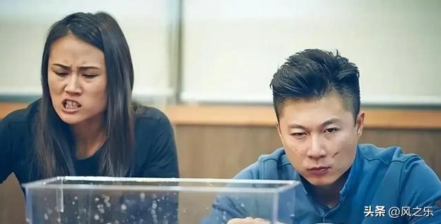 最新热门英文歌曲，变化、学习与自信的力量之声
