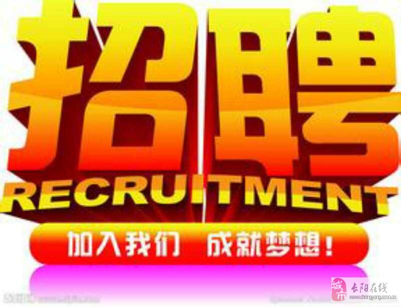 长阳招聘网最新招聘信息及其求职步骤指南