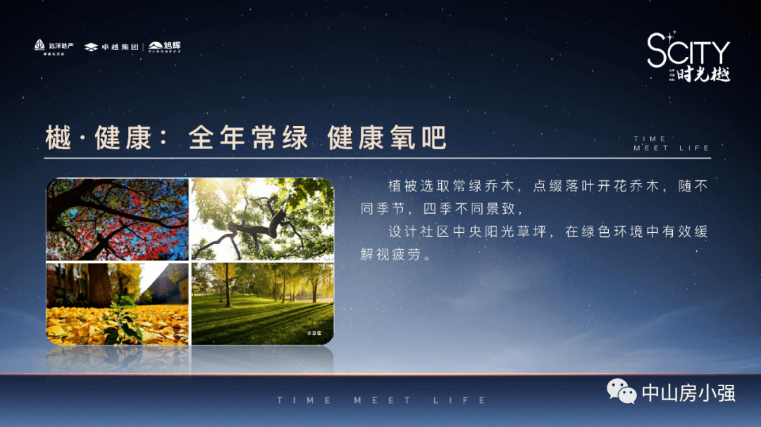 深圳最新楼盘探秘，小巷风景与隐藏特色小店全攻略