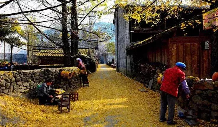 云南最新新闻,小巷深处的独特风味揭秘