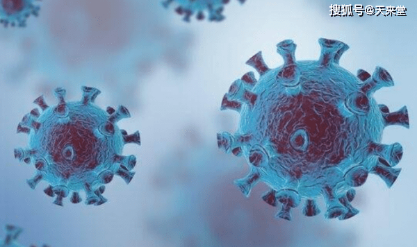 邯郸最新楼盘,与自然美景的邂逅,探寻内心平静的旅程