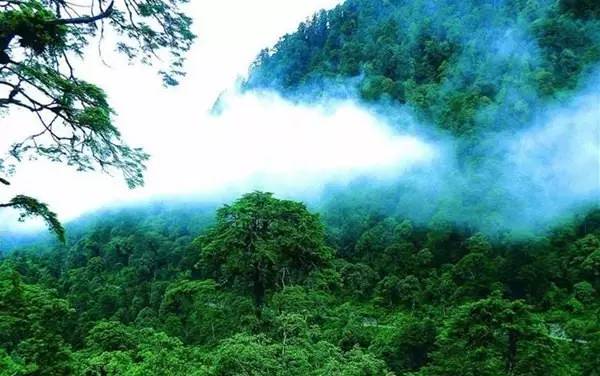 萤石粉最新价格揭秘，探寻小巷秘境，独家披露独特价格信息