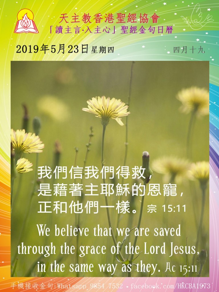 主日最新讲章，阳光下的启示