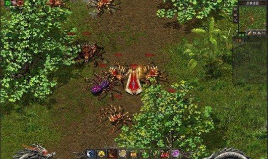 盛大传奇新篇章,学习变化,自信铸就梦想之路