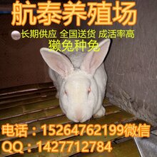 禾辉云文化科技 第73页