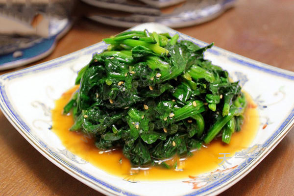 回溯历史，探寻影响与地位，菠菜大全最新资讯及深度解析