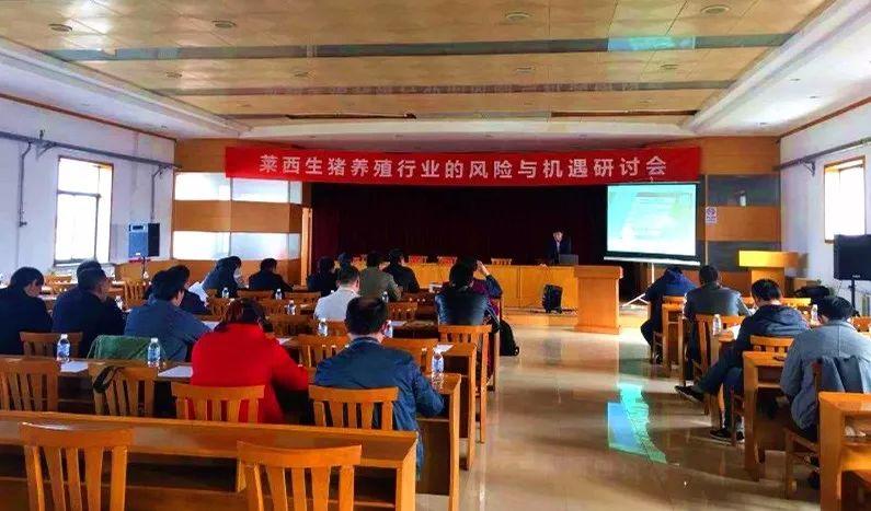 落户咨询 第55页
