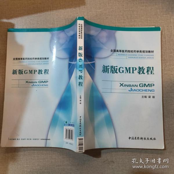 GMP最新版本揭秘,小巷独特风味探秘