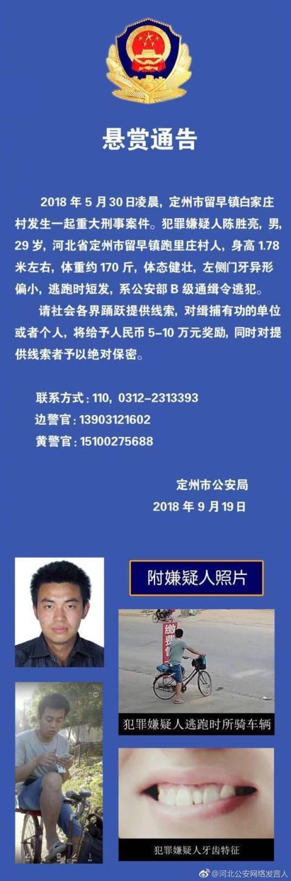 河北最新通缉令，审视与反思的背后