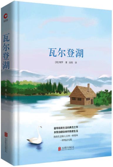时政下的心灵探索