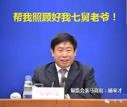 银监会杨家才最新动态解读，全面指南与最新消息速递
