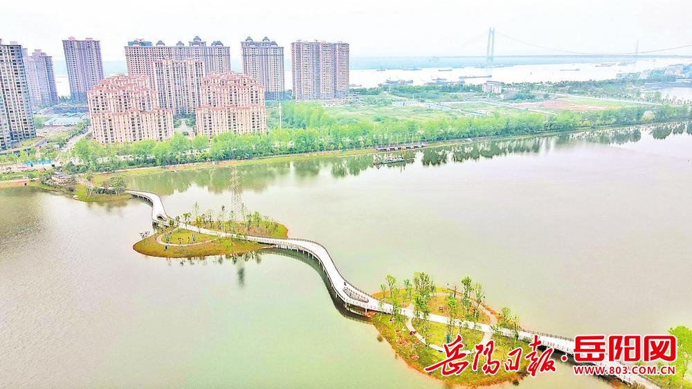 岳阳东风湖最新动态，科技驱动未来，智能新纪元启程